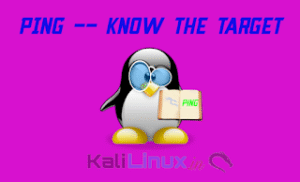 Ping — Know the Target (Ping Pong)! - Kali Linux Tutorials